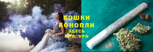 твердый Дмитровск