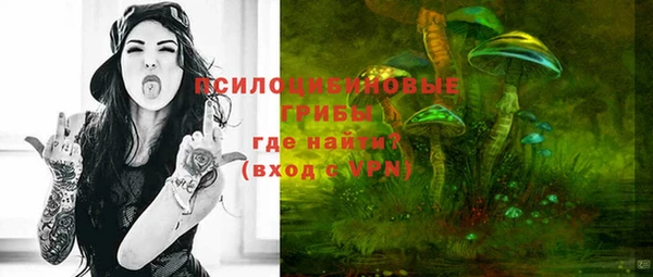 дживик Аркадак